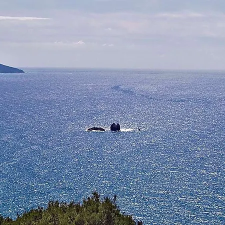 Perfect For A Family Escape - Pelekas * Corfu (city)